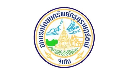 Partner Software Client