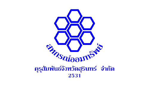 Partner Software Client